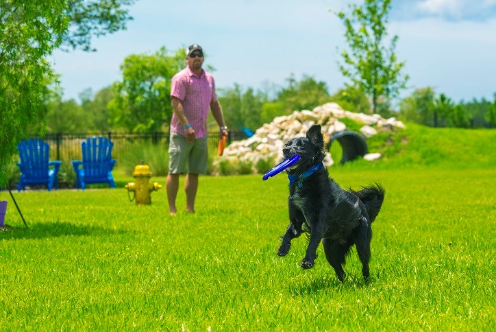 Bexley-Amenities-Dog Park-Playing catch