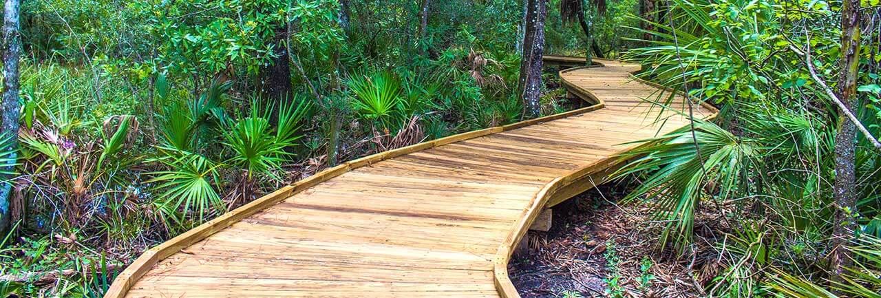 Boardwalk trail in Bexley
