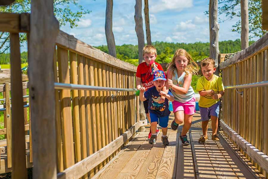 Pasco County School System | Bexley New Homes in Land O' Lakes FL
