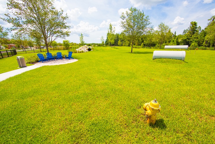 Play area and chairs for dog parents at the Bark Yard.