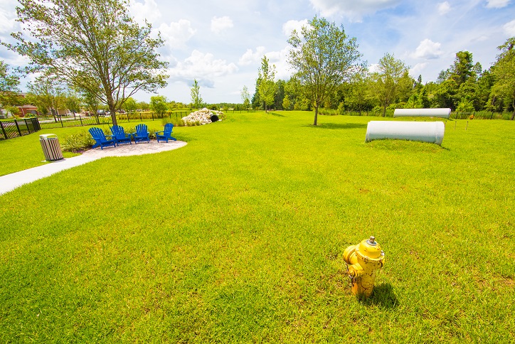 Play area and chairs for dog parents at the Bark Yard.