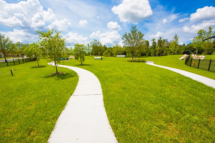 Pathways and open space in the Bark Yard