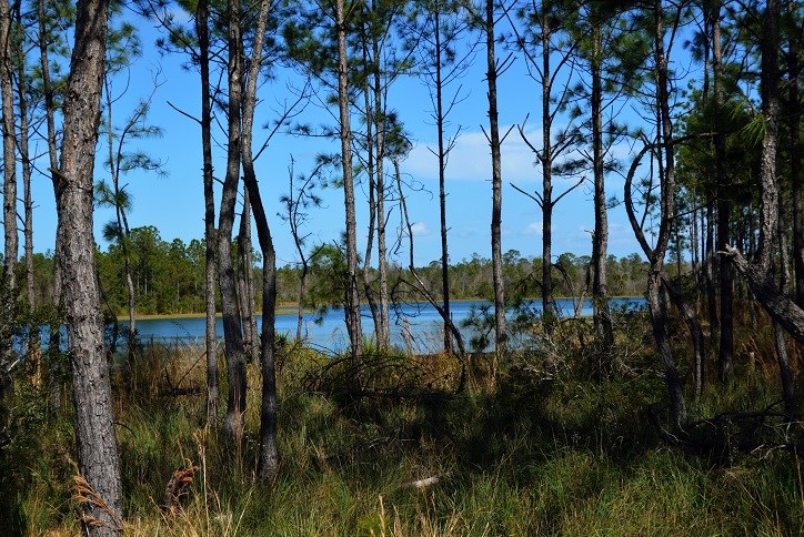 Bexley-Trail-Lake-View