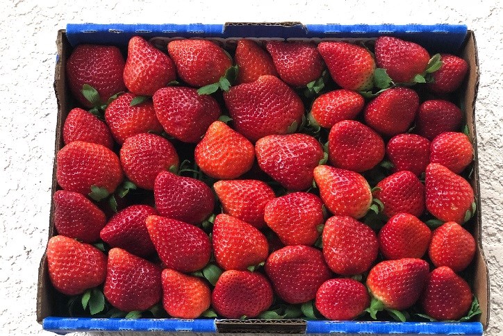 Bin full of Strawberries