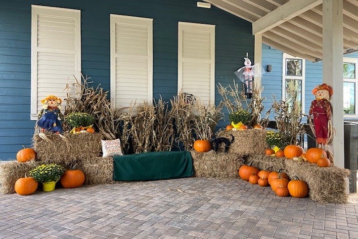 Pumpkin patch at Bexley Club in Land O Lakes, FL in Pasco County