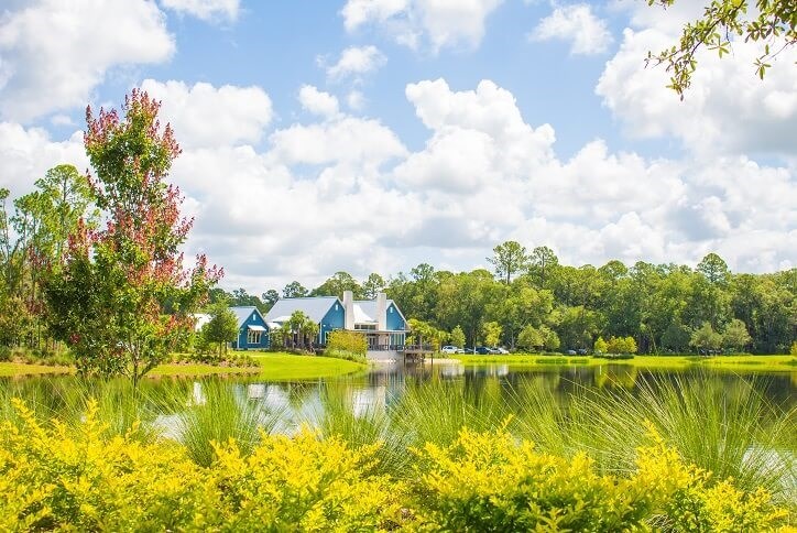 lake view of clubhouse through the plants