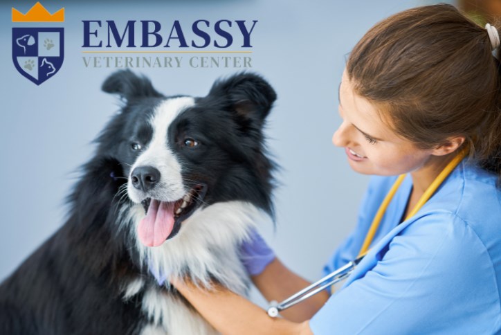 Embassy Veterinary Center
